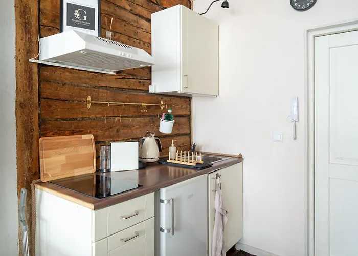 Garden Next To Telliskivi & Old Town Tallinn